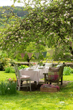 Susie Watson Designs