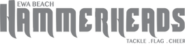 EBHH Words Only Gray 60%.png