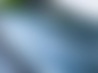 Cost vs Value: Is Glass Pool Fencing Worth the Investment?