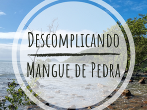 Descomplicando o Mangue de Pedra
