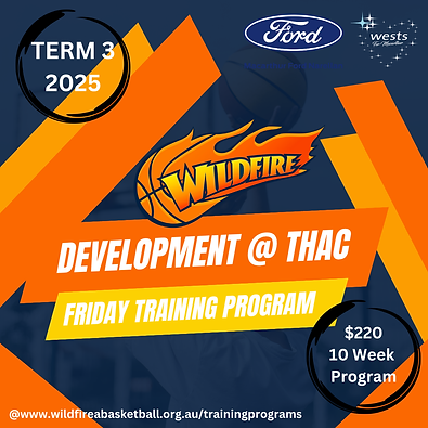 Term 3, 2025 - Fri Dev Training THAC