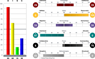 Related_Products_Talent-Insights.png