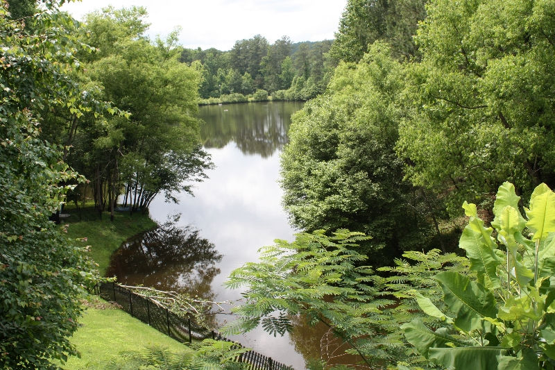 lake-shot-img_5167
