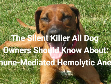 December is Anemia Awareness Month