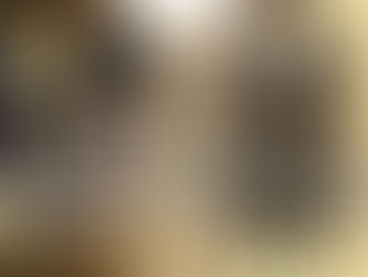 A Story Worth Telling: Sarah Banne Belzoni and the Heart of The Exploress and the Pillars of Eternity