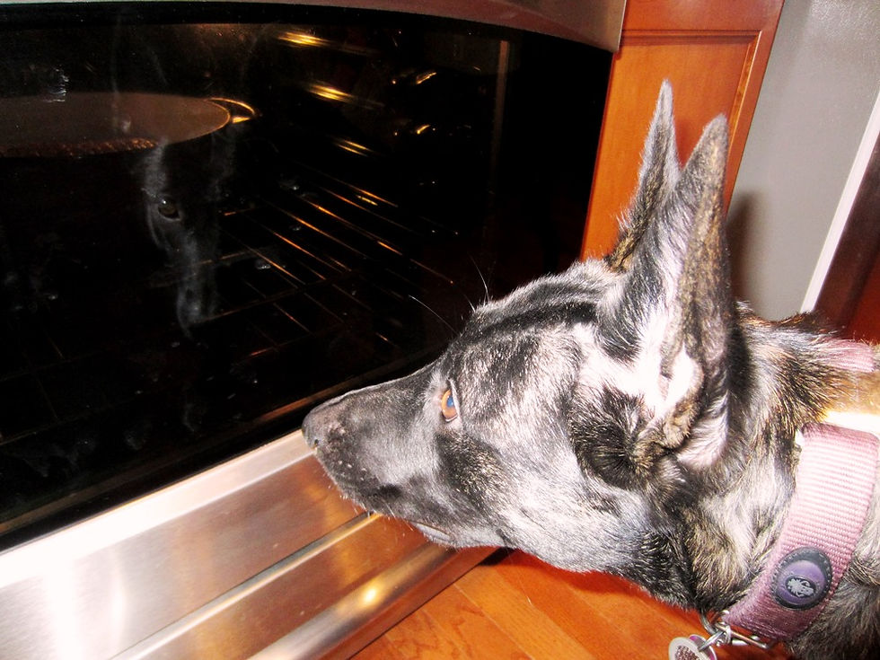 Cara making sure I cook her birthday meal properly.