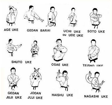 technique_blocage karate.jpeg