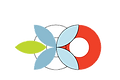 CG-Icon-Logos.png