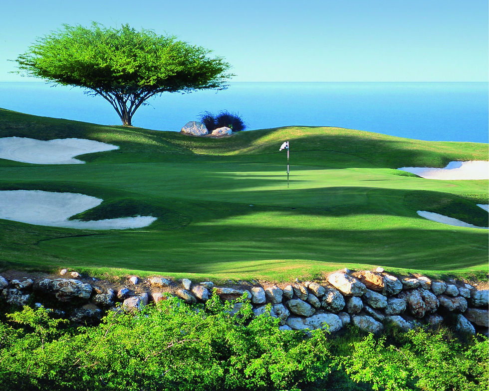 Golf Background 1.jpg