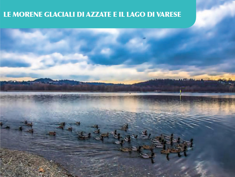 LE MORENE GLACIALI DI AZZATE E IL LAGO DI VARESE