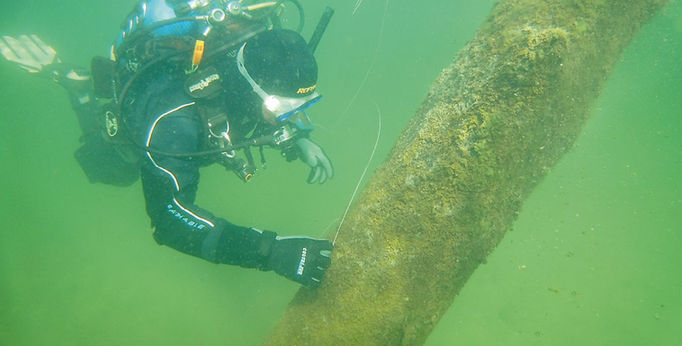 I tronchi sommersi alla Squarada di Calcinate del Pesce.