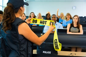 Organizational Crime and Illegalities
