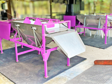 American elderberry destemming machines at River Hills Harvest.
