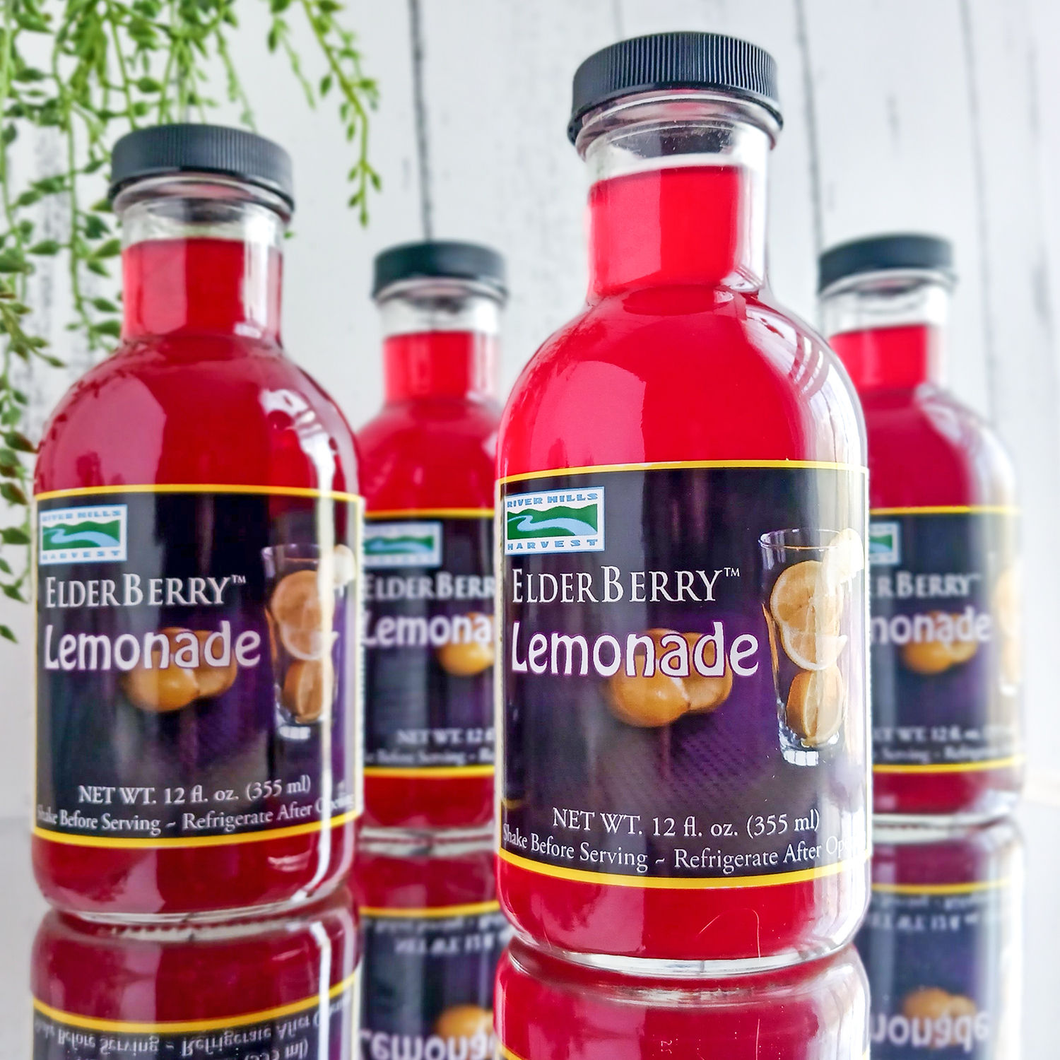 River Hills Harvest American Elderberry Lemonade