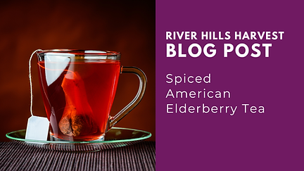 American elderberry recipe link to spiced elderberry tea.