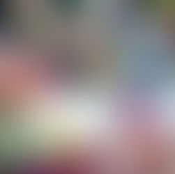 American elderberry lemonade being served at a party.