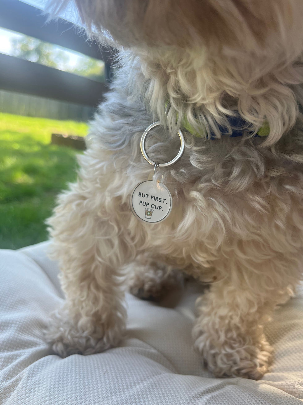 Thumbnail: Collar Charm- But First, Pup Cup