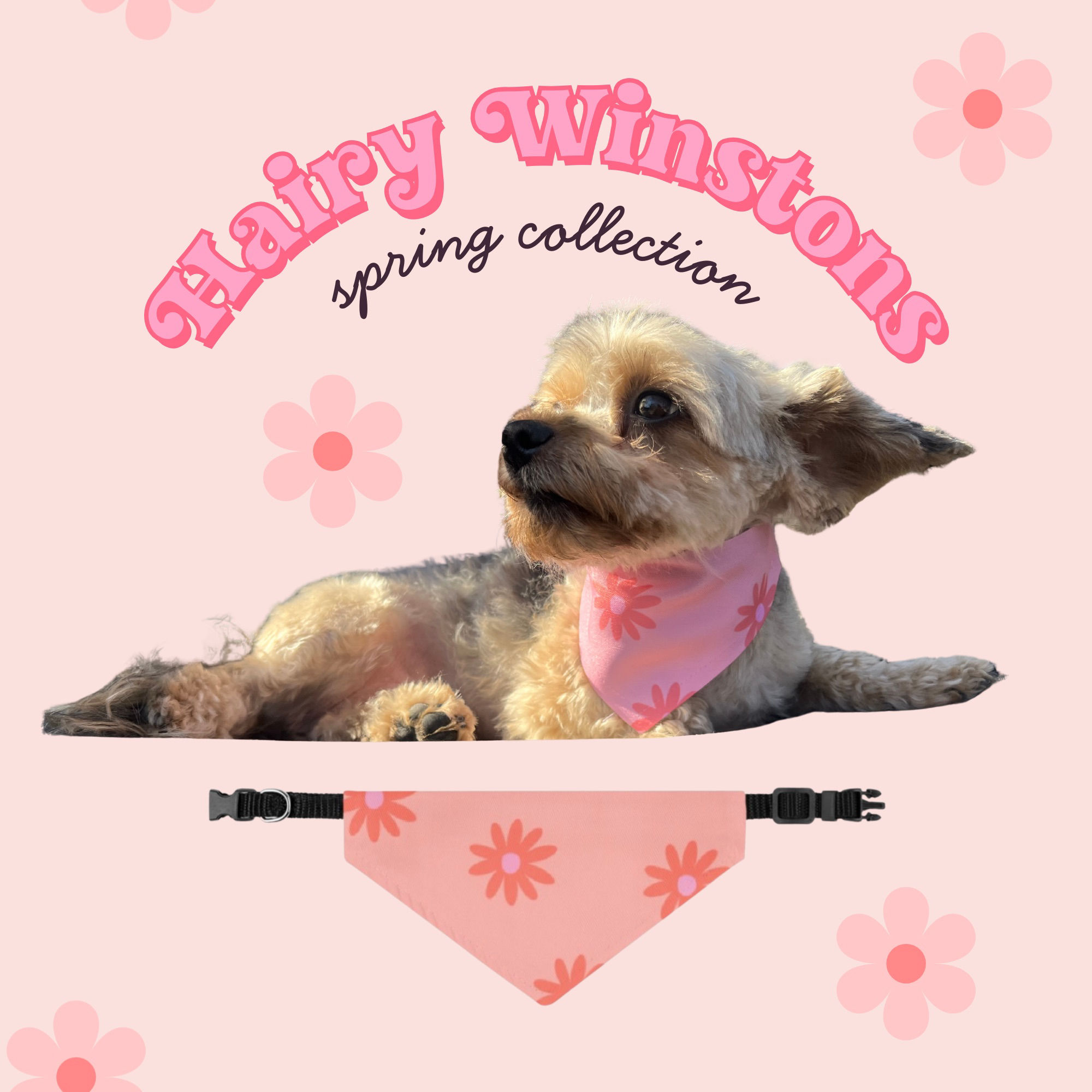 Ditsy Daisies in Pink Bandana