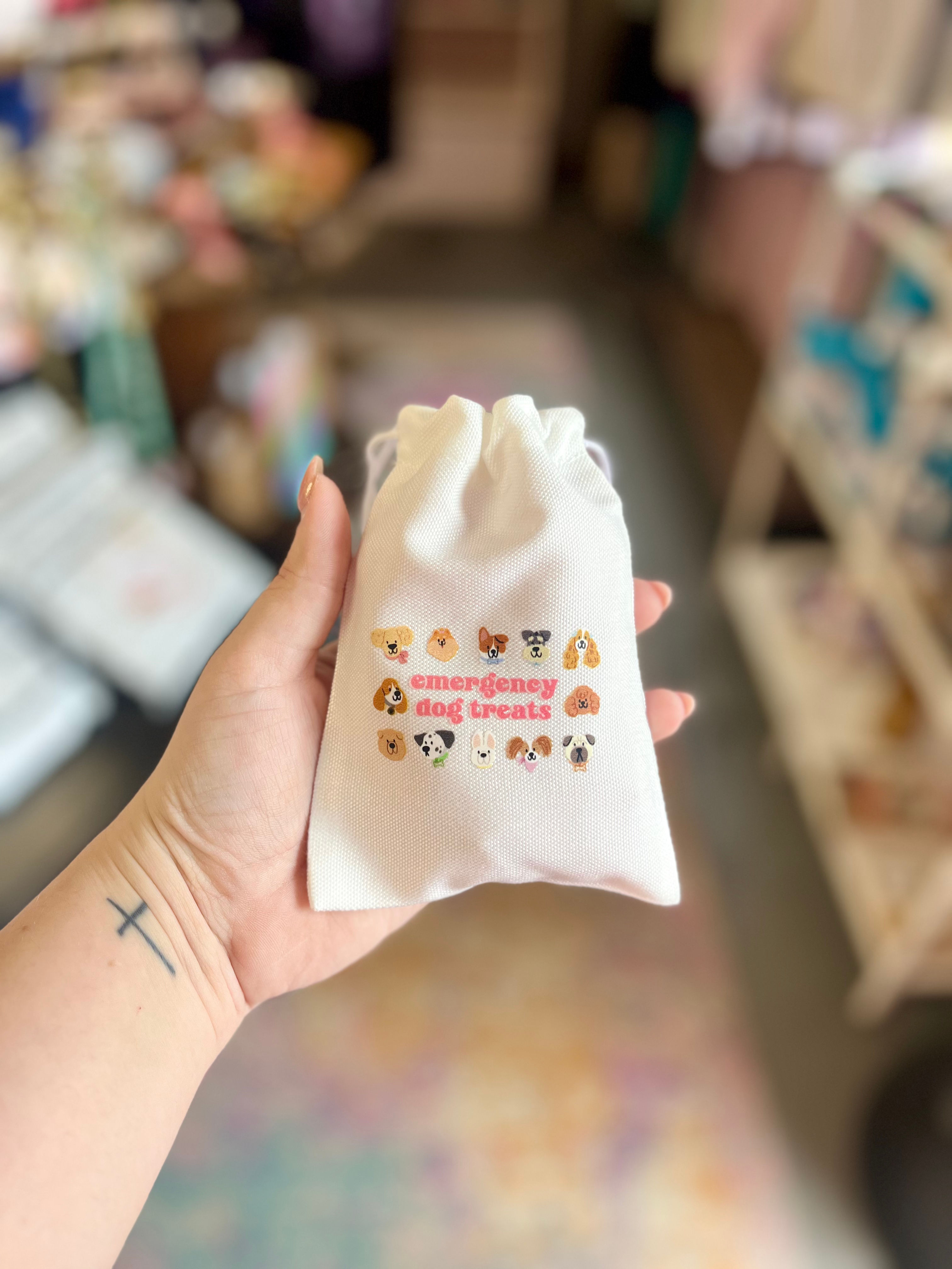 Emergency Dog Treat Pouch