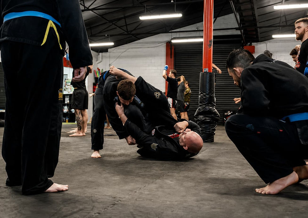 Brazilian jiu jitsu coach demonstration