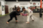 Brazilian jiu jitsu advanced class