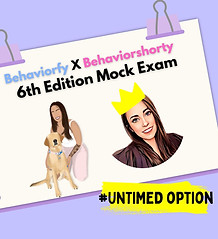 Mock exam