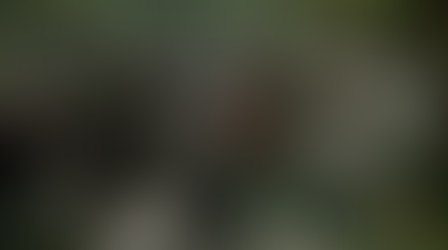 Reflections from The Rev'd Dr Deborah Broome