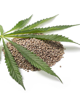 hemp-leaf-seed.jpg