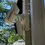 Thumbnail: 2-in-1 Downspout Mount for RING Stick-Up PRO Camera