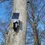 Thumbnail: Solar Mount for RING Spotlight Cam PRO with Cable management