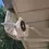 Thumbnail: Horizontal Double-Side Downspout Mount for Ring Stick Up Cam PRO 