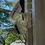 Thumbnail: 2-in-1 Downspout Mount for RING Stick-Up PRO Camera