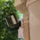 Thumbnail: Double Side Downspout Mount for Ring Spotlight Cam Pro