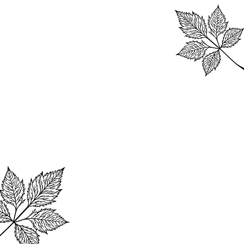 websitebg.png