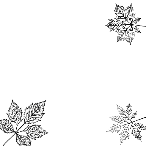 website bg4.png