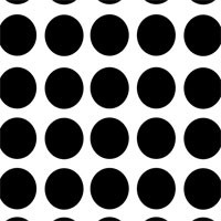 Black & White Dot Silk