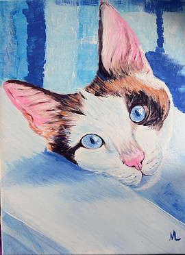 Ritratto personalizzato di gatto da foto – disegno a matita colorata e ritratto di animali su commissione