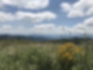 thumbnail_IMG_8608.jpg
