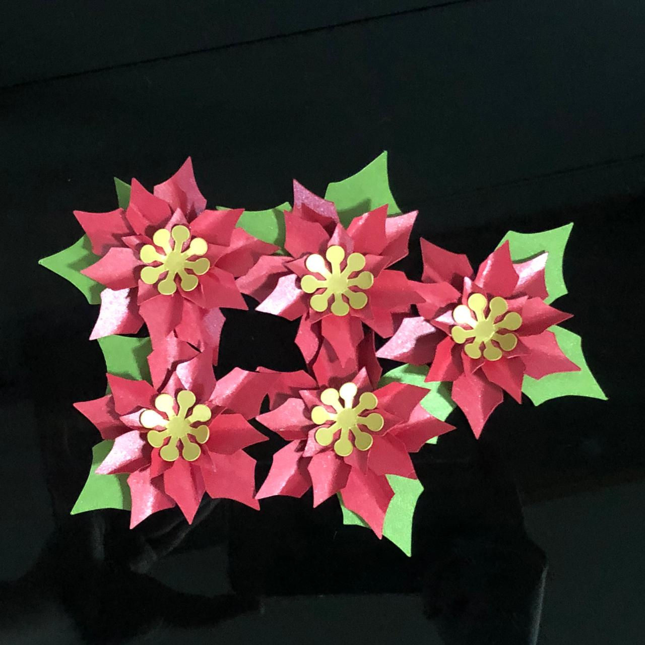 Flor de Natal Poinsettia