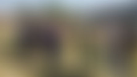 स्व श्री प्रेमचंद गुप्ता की स्मृति आयोजित हुई खेल कूद प्रतियोगिता

खेल कूद प्रतियोगिता में याद किये गए स्व श्री प्रेमचंद गुप्ता