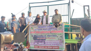 कान्हा टाइगर रिजर्व के सूपखार में 100 साल बाद जंगली भैंसों की वापसी, काजीरंगा से लाए गए आठ जंगली भैंसों को क्वारंटाइन के बाद 17 हेक्टेयर के बाड़े में छोड़ा
