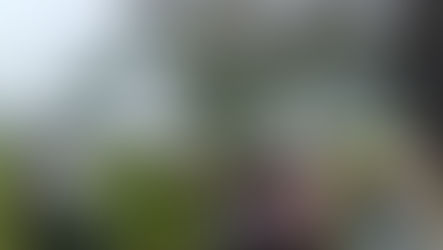 आकाशीय बिजली की चपेट में आने से 70 मवेशियों की मौत गांव में पसरा मातम... मौके पर शाहपुरा तहसीलदार एसडीएम... ग्रामीणों ने की मुआवजा की मांग