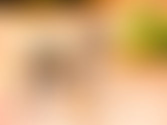 प्रदेश के बांधवगढ़, सतपुड़ा एवं कान्हा टाइगर रिजर्व में अखिल भारतीय बाघ गणना 2026 (Tiger Census 2026) का कार्य प्रारंभ