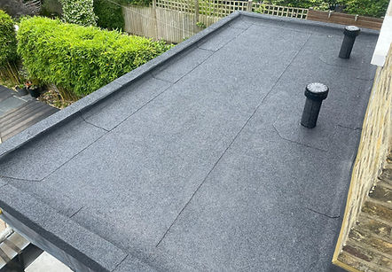 paul flat roof.jpg