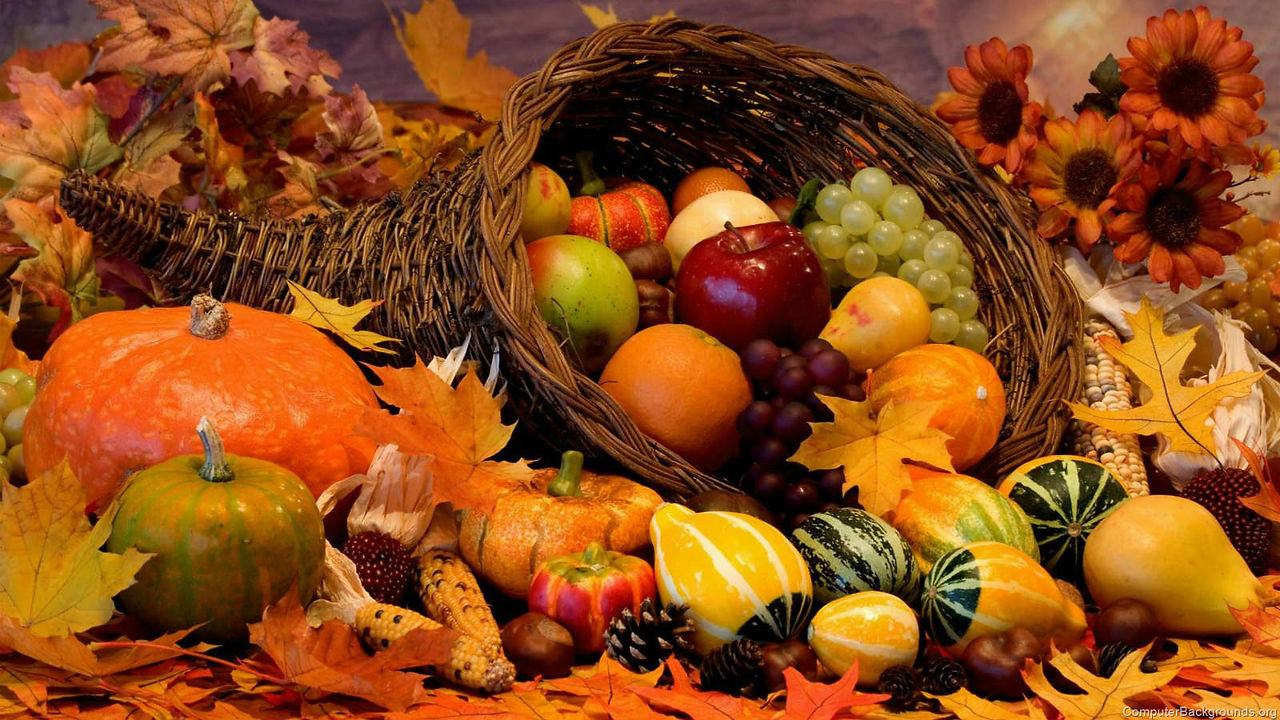 Autumn-Orange-Food_Delight-