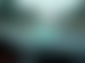 Entiende Nuestros Servicios de recurso de Multas