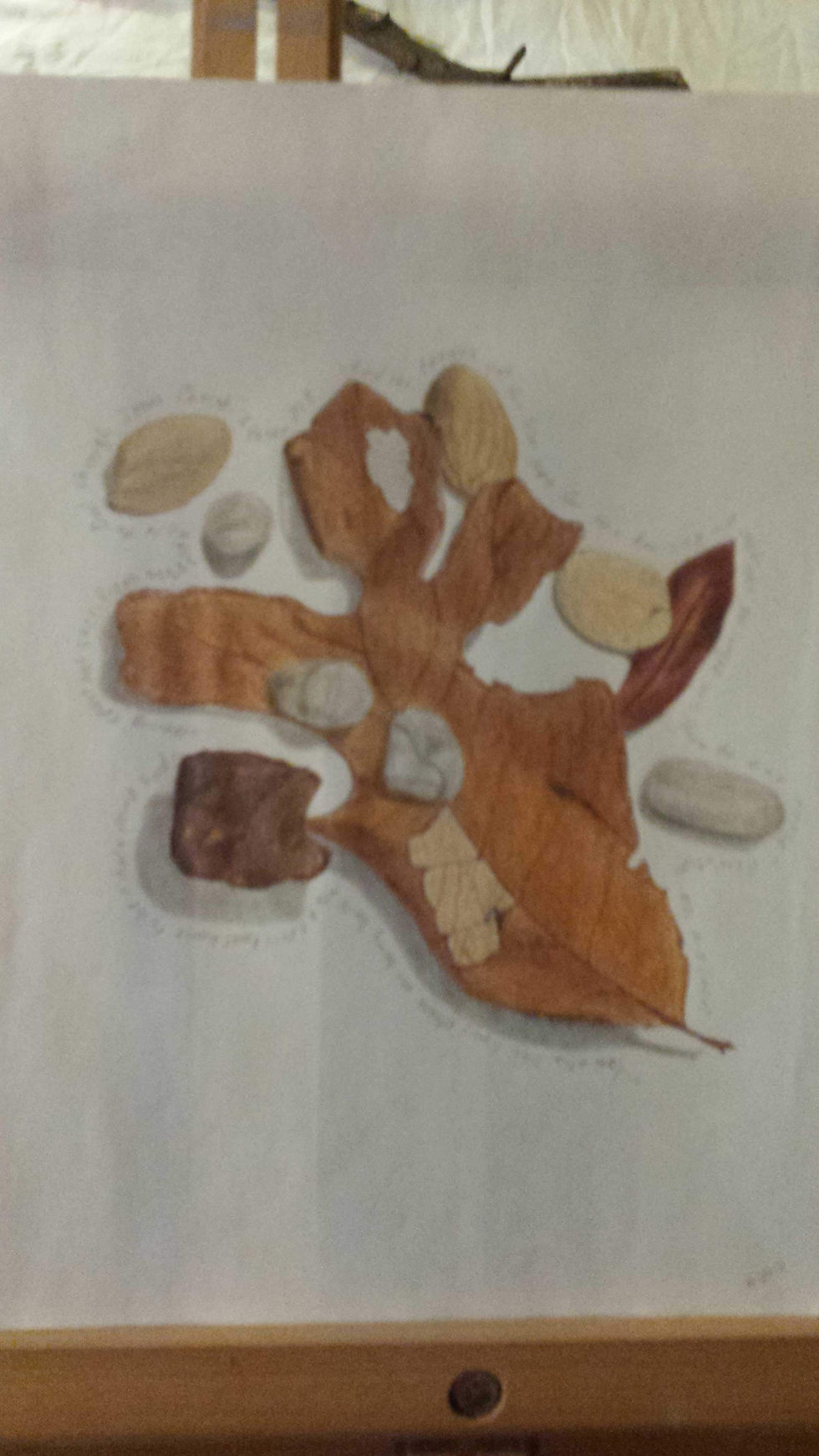 Leaves and Shells