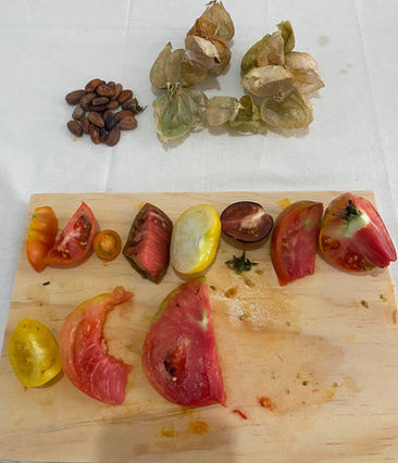 Tomates