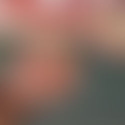 Honoring Heroes and Strengthening Community Bonds: ARC for Nepal’s January 4th Blood Drive