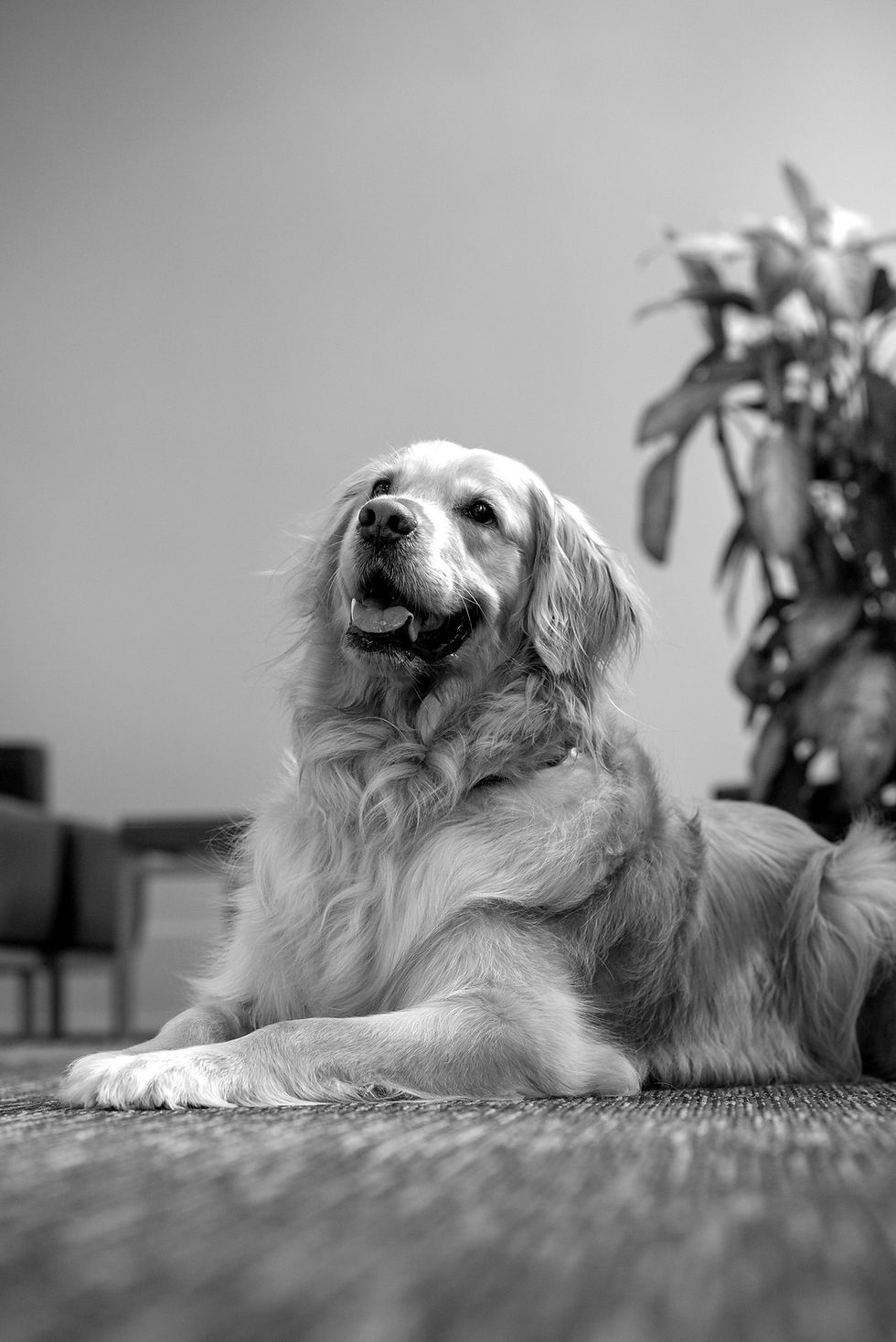 pasha, team member of ITANIZ Boutique Marketing Agency, Vancouver